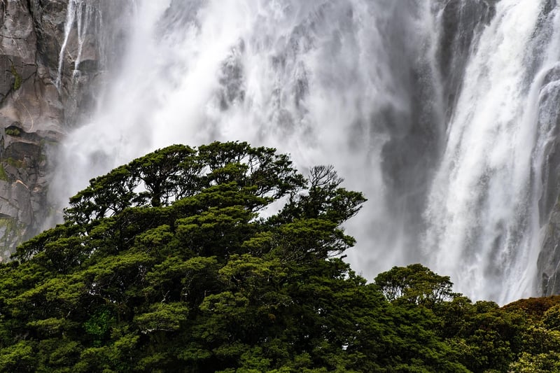 Scenic Landscapes